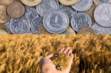 ręka z ziarnem, na górze polskie monety