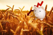 Rolnik widzi kryzys, statystyka poprawę