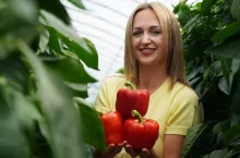 Uprawa papryki w gospodarstwie Eweliny Szymczak