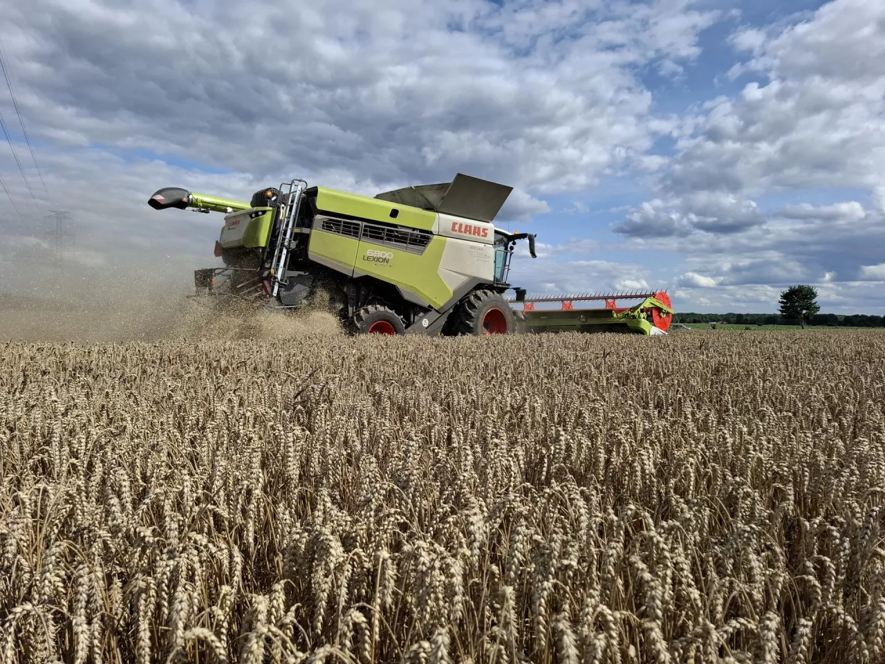 Technika, tap 11/2025, Claas Lexion 6800, Claas CEMOS, zbiór pszenicy