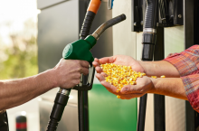 Rolnicy mają pomysł jak zdjąć 5 mln ton zbóż z rynku. ”To szansa na ustabilizowanie cen”