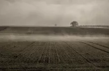 ziemia rolna o poranku, gdy unosi się mgła nad polem