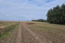 Obornik, obornik na polu, składowanie obornika