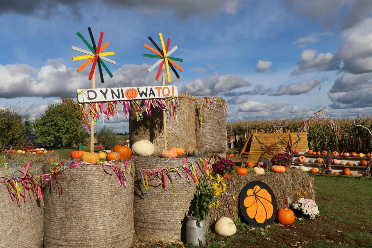 Farma dyniowa w Kopaszynie to nie tylko piękna sceneria do zdjęć. Paulina Kostecka edukuje zwiedzających jej gospodarstwo, chcąc podnosić świadomość o uprawie tego owocu.