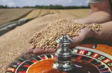 Rynek zbóż to prawdziwa ruletka