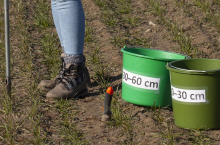 badanie gleby, pobieranie prób glebowych