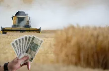 Cios dla rolników. Ministerstwo rolnictwa nie wystąpi do KE w sprawie cen zbóż