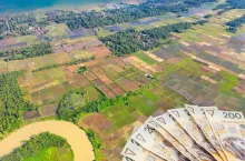 KOWR sprzeda 170 ha na Pomorzu. Jaka cena?