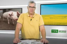 mężczyzna w żółtym t-shircie za mównicą