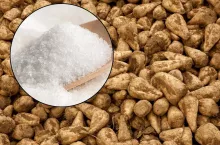 buraki cukrowe, cukier