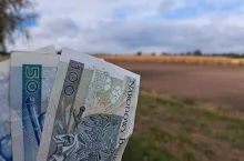 pieniądze i pole
