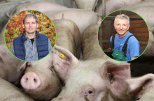 Janusz Wojtczak i Wojciech Styburski o sytuacji na polskim rynku tuczników