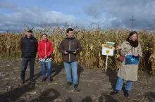 W sezonie 2025 Dekalb oferuje 6 odmian kiszonkowych w ramach elitarnego programu Silo Extra, fot. Anna Arabska