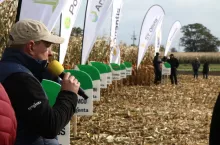 Syngenta 2025 odmiany