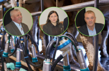 Jerzy Wawrzyńczak, Agnieszka Pawlak i Waldemar Plantowski