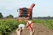  Buraki cukrowe 2026/2027: jaka cena w KGS na kolejną kampanię?