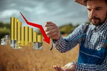 Ekspert wprost najgorsza sytuacja w rolnictwie od lat! Zboże tańsze o 45%, a maszyny droższe o 12%
