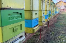 Loty są sporadyczne, to jeszcze nie główny oblot wiosenny