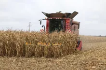 Robert Szymczak zbiór kukurydzy 10 października 2025