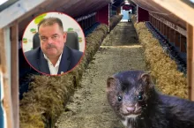 Sławomir Izdebski, norki