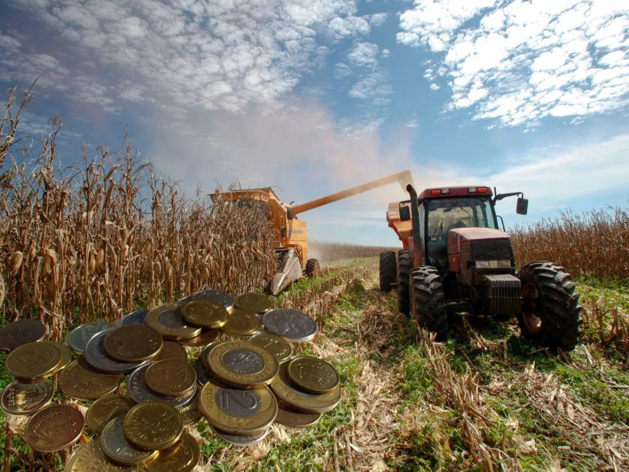 kukurydza, ciągnik