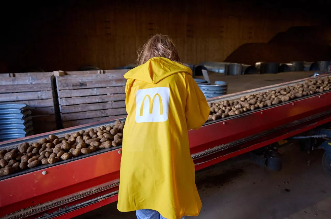 Skąd się biorą frytki w McDonald's?