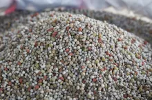 nawozy, nawożenie, granule nawozów
