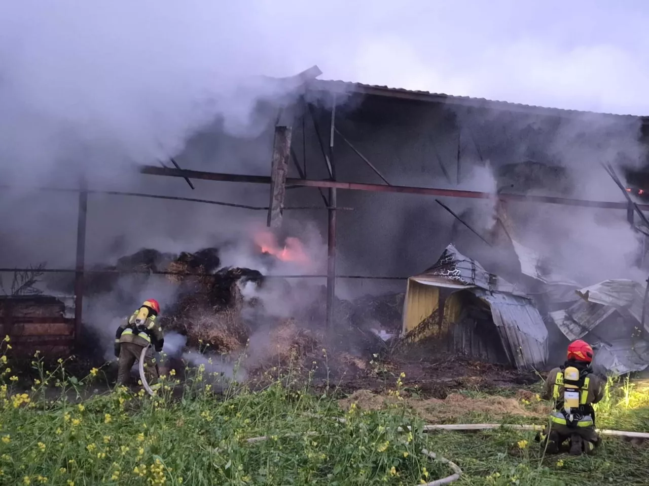 strażacy w ubraniach specjalnych walczą z pożarem gospodarstwa rolnego