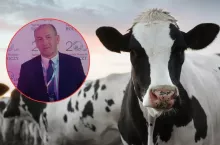 15 lat oceny genomowej w Polsce – czy można było zrobić to lepiej?