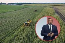 pole, twarz ministra rolnictwa