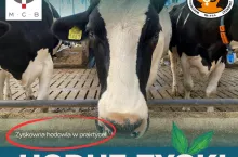 Rusza cykl konferencji ”Hoduj Zysk! organizowane przez Mazowieckie Centrum Hodowli i Rozrodu Zwierząt (MCHiRZ) oraz Małopolskie Centrum Biotechniki (MCB).