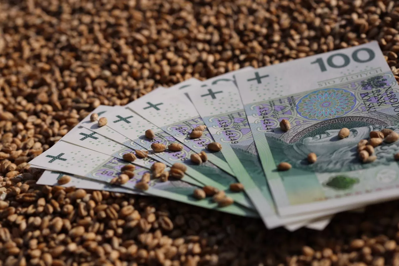 Jakie są ceny zbóż i rzepaku?