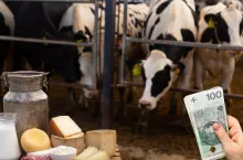 Ceny mleka w listopadzie 2024 r.