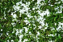 Hailstones in grass.