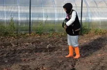 Wysiane nawozy należy wymieszać z glebą na głębokość ok 20 cm