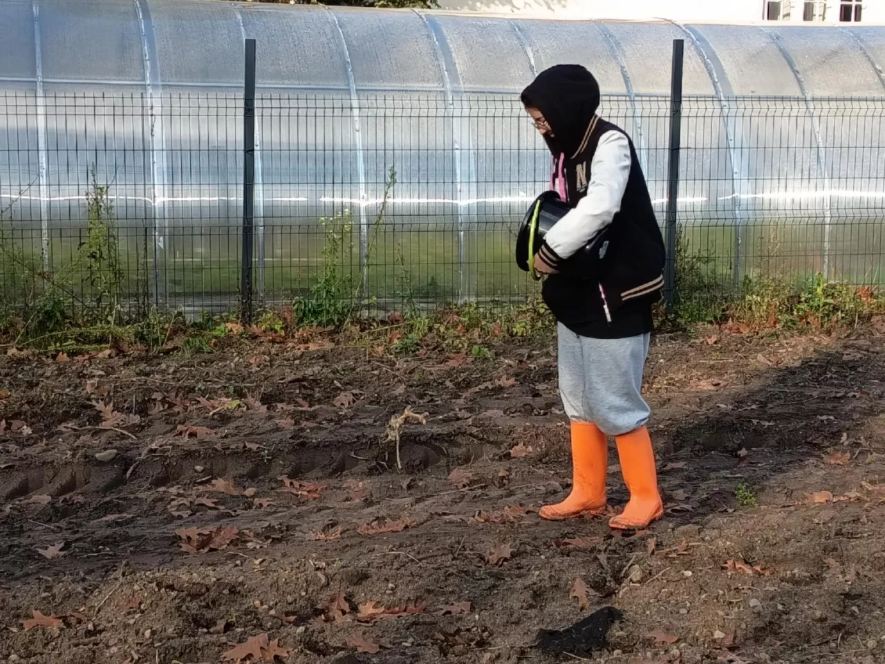 Wysiane nawozy należy wymieszać z glebą na głębokość ok 20 cm