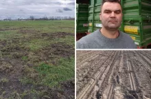 Ronicy tracą uprawy