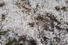 efekt gradobicia na polu