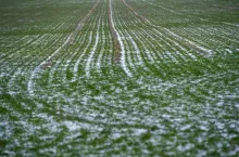 Prognoza pogody listopad 2025