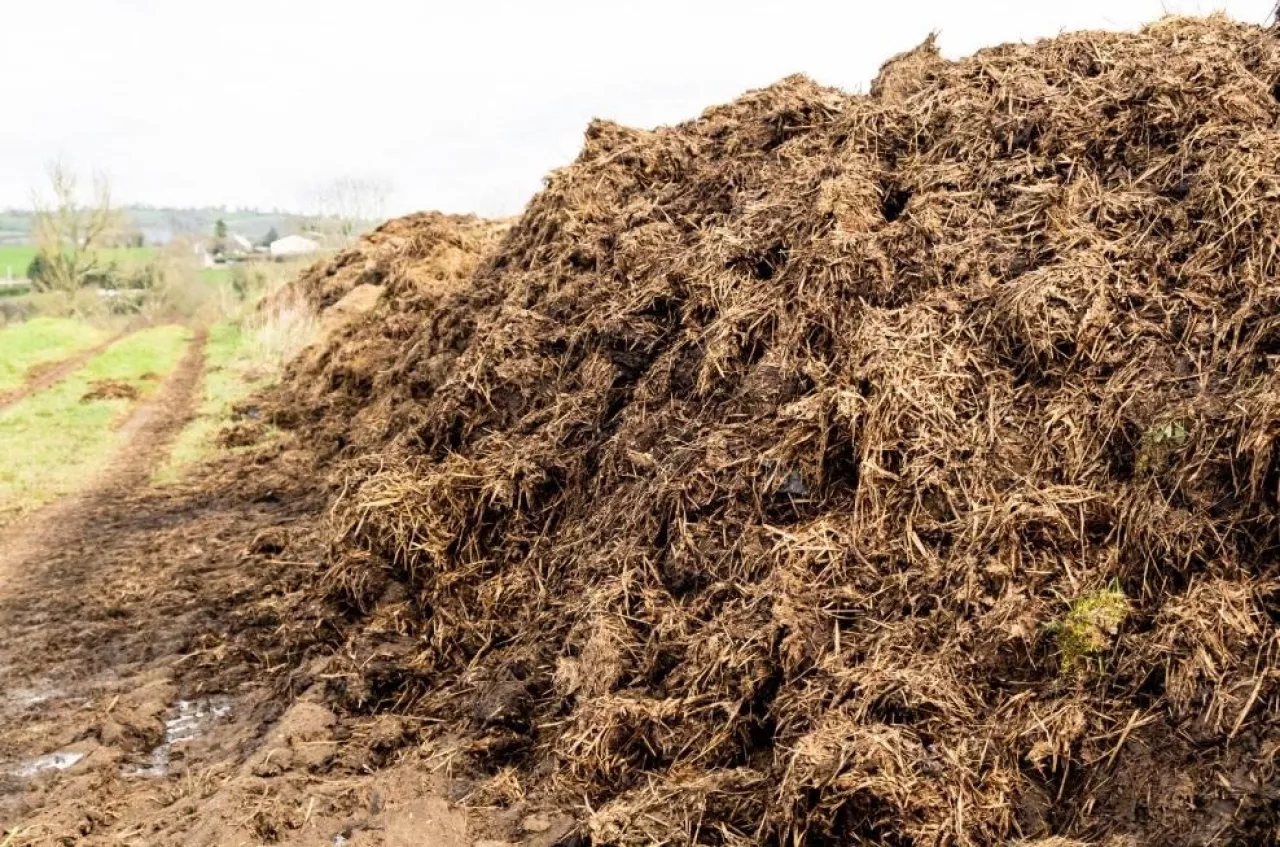 obornik, przechowywanie obornika