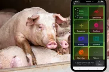 Masz dość papierów i kontroli? Ta aplikacja ułatwia życie rolnikom