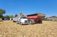 Zbór kukurydzy w USA