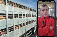 Janusz Terka o sytuacji na rynku świń