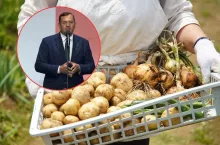skrzynka z warzywami, ziemniaki, cebula, w tle minister rolnictwa Stefan Krajewski