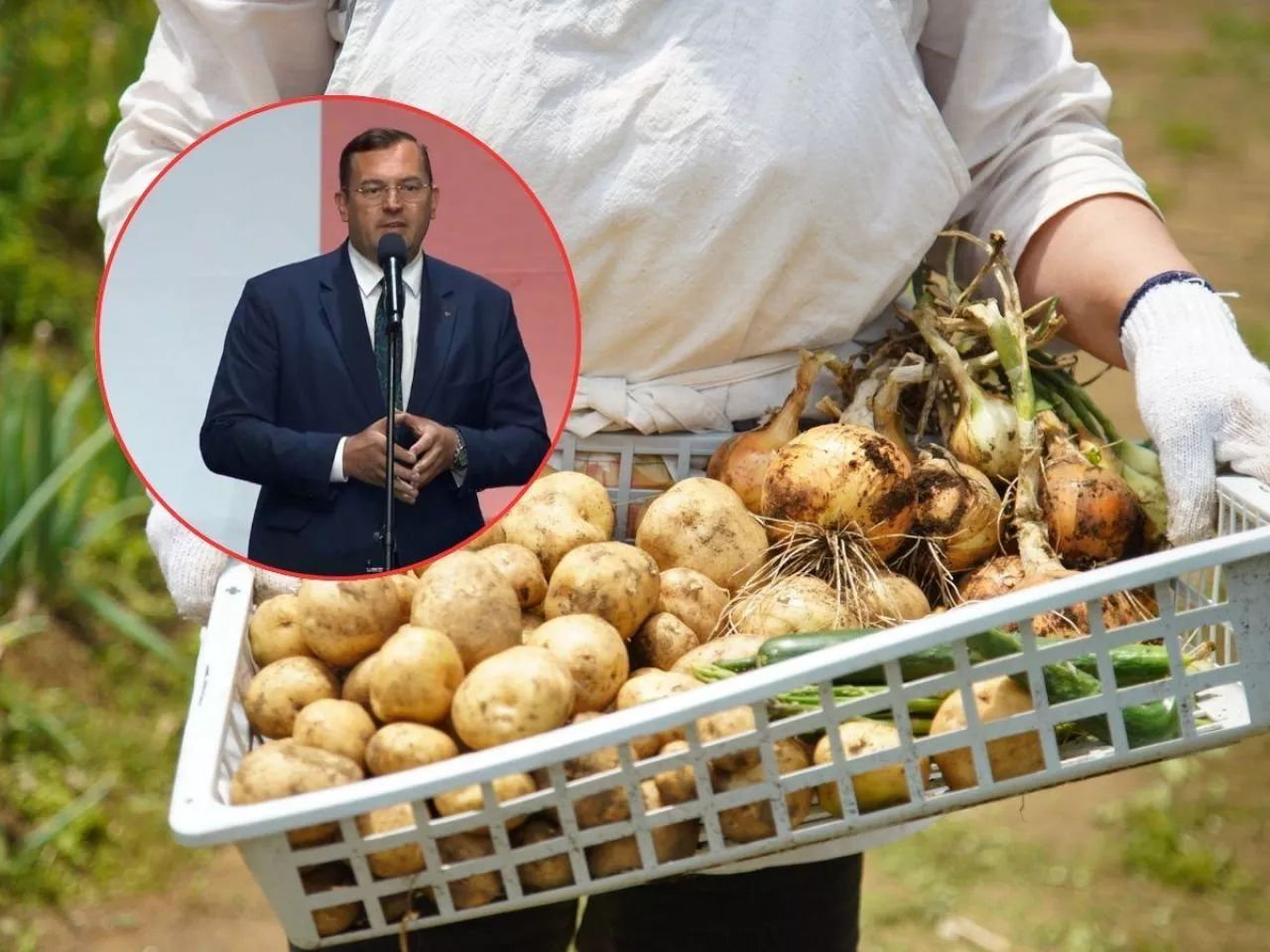 skrzynka z warzywami, ziemniaki, cebula, w tle minister rolnictwa Stefan Krajewski