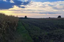 Czy małżeństwo może wspólnie kupić ziemię czy musi to zrobić tylko ta osoba, która ma status rolnika?