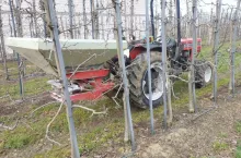 sół potasowa w sadzie