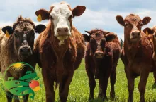 Co UE szykuje dla rolników? W tle rekordowe pieniądze