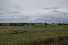 Sprzedaż certyfikatów węglowych może stanoiwić dodatkowe źródło dochodów gospodarstwa