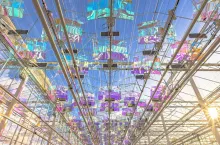 Panele Voltiris służące do odzyskiwania energii w szklarniach